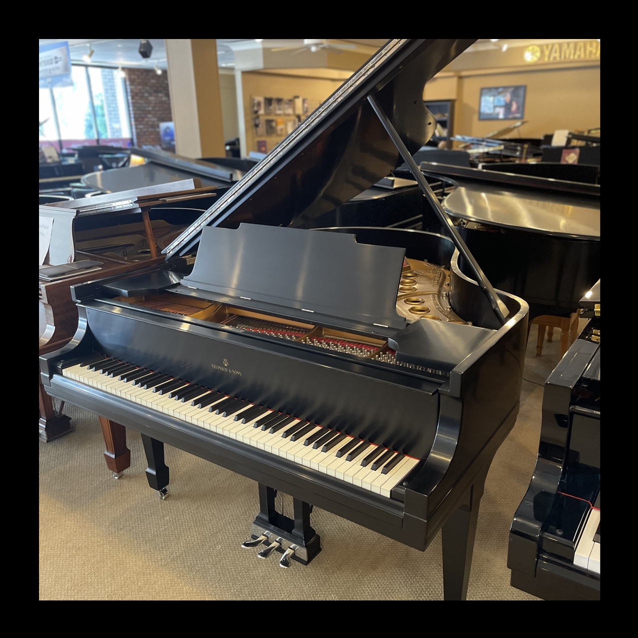1925 Steinway Model M 1925 Steinway Model M